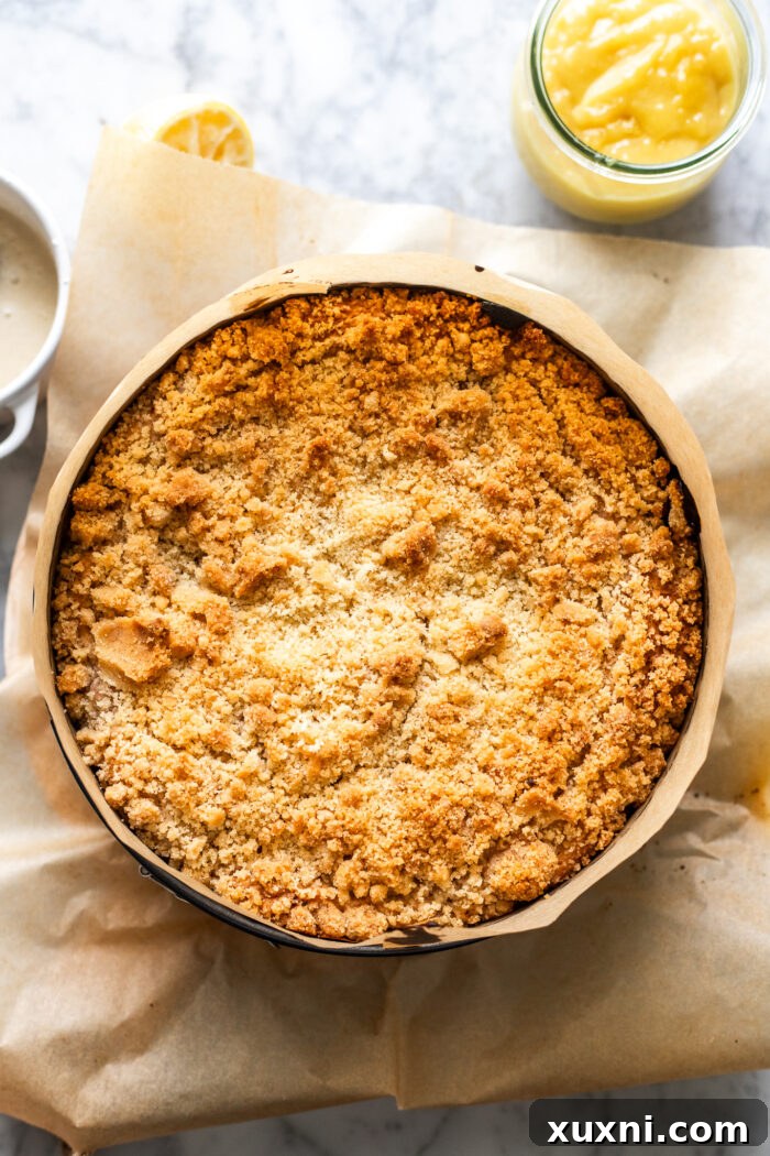 Irresistibly Soft Vegan Lemon Raspberry Coffee Cake with a Zesty Vegan Cream Cheese Swirl 8 A freshly baked vegan lemon raspberry coffee cake, golden brown and perfectly risen, still in its springform pan.