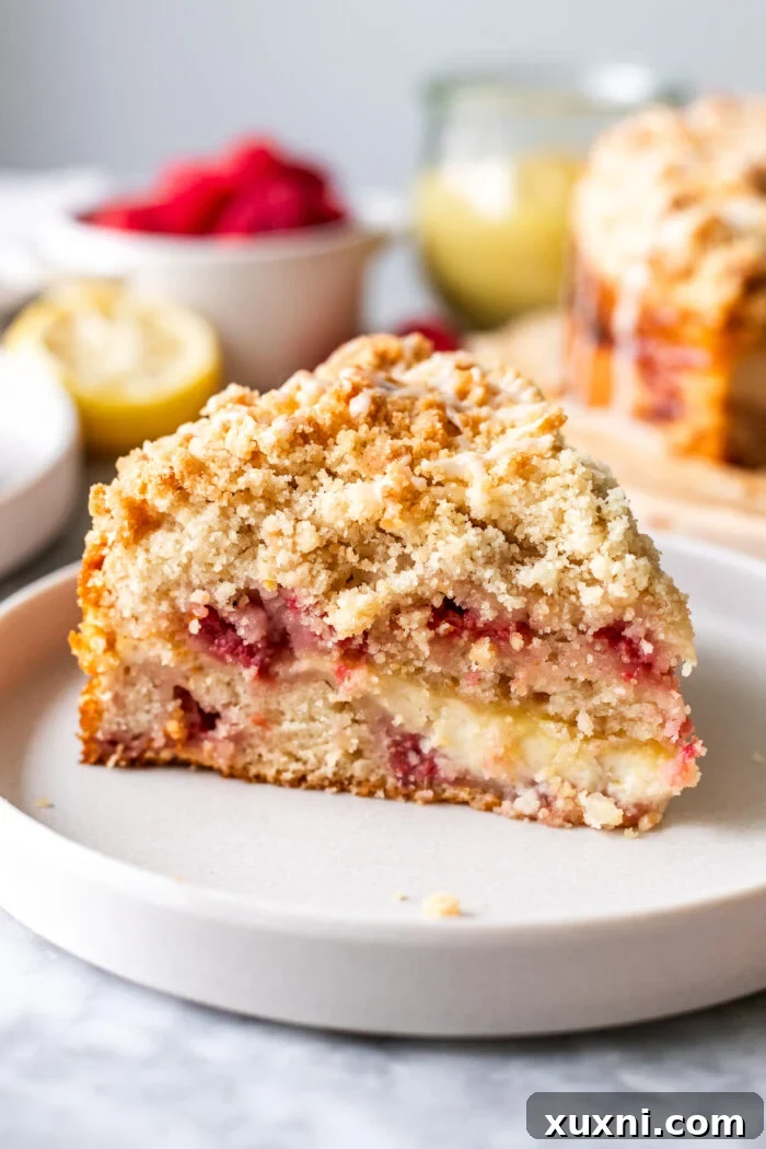 Irresistibly Soft Vegan Lemon Raspberry Coffee Cake with a Zesty Vegan Cream Cheese Swirl 10 A serving of vegan lemon raspberry coffee cake on a plate, featuring the intricate layers and the appealing golden crumble.
