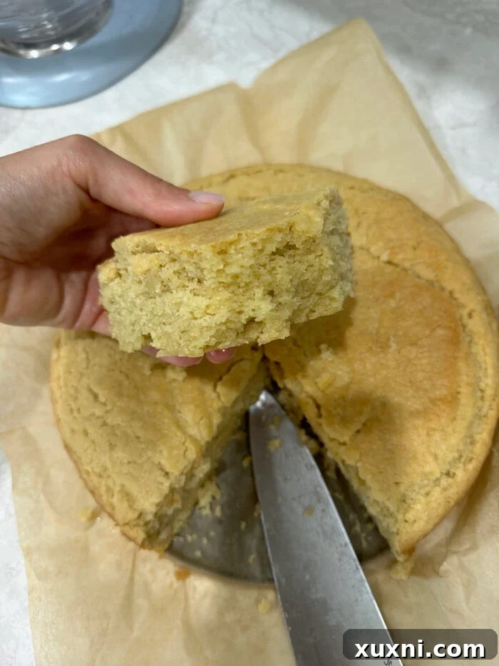 A sunken, dense vegan olive oil cake from the first test bake, showcasing an undesirable texture.