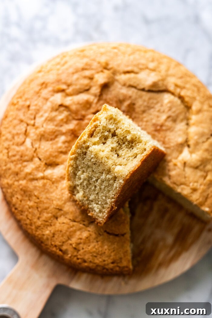 A dry but well-risen vegan olive oil cake from the second test bake, indicating overbaking.
