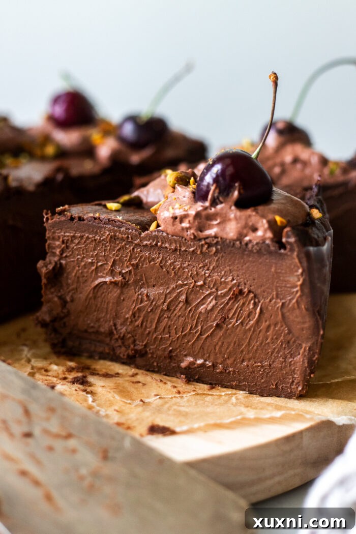 Luxuriously Creamy Vegan Chocolate Basque Cheesecake 3 A beautifully sliced vegan chocolate Basque cheesecake resting on a cooling rack, ready to be served.