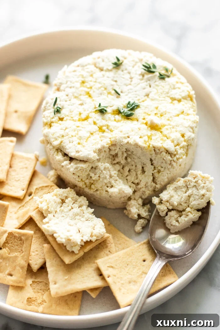 Creamy vegan ricotta on a plate with a spoon, ready to be enjoyed.