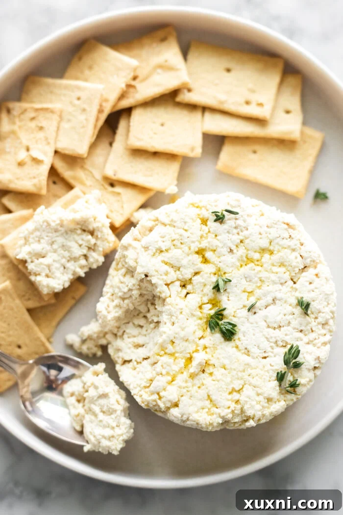 Vegan ricotta smeared onto a cracker, ready to eat.