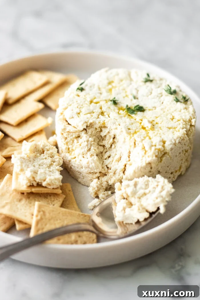 Close-up of creamy vegan ricotta in a bowl with a spoon, emphasizing its texture.