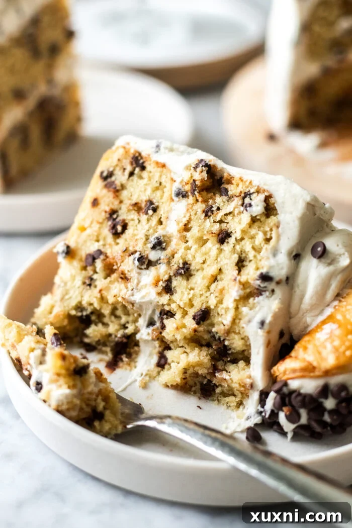 Mind-Blowing Vegan Cannoli Cake 2 slice of vegan cannoli cake on a plate, showcasing its layers and texture