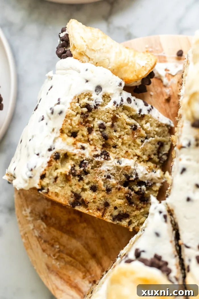 Mind-Blowing Vegan Cannoli Cake 4 slice of cannoli cake showing internal layers and rich texture