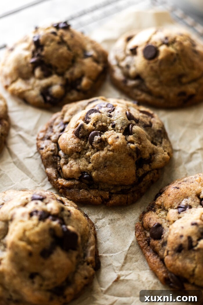 Vegan Brown Butter Brownie Cookie Fusion 8 Close-up of baked brownie stuffed cookies, highlighting golden brown edges and melty chocolate chips