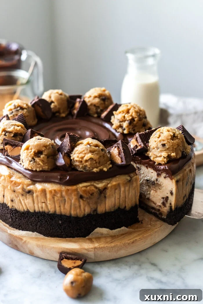 sliced peanut butter cookie dough cheesecake on a plate with molten cookie dough