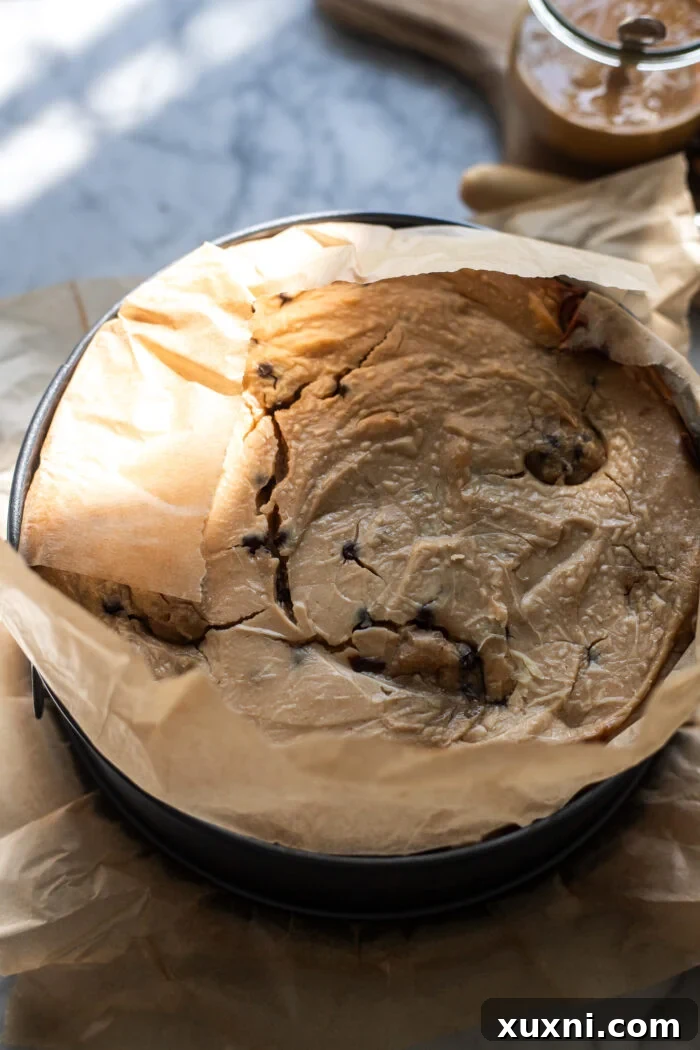freshly baked vegan peanut butter cookie dough cheesecake