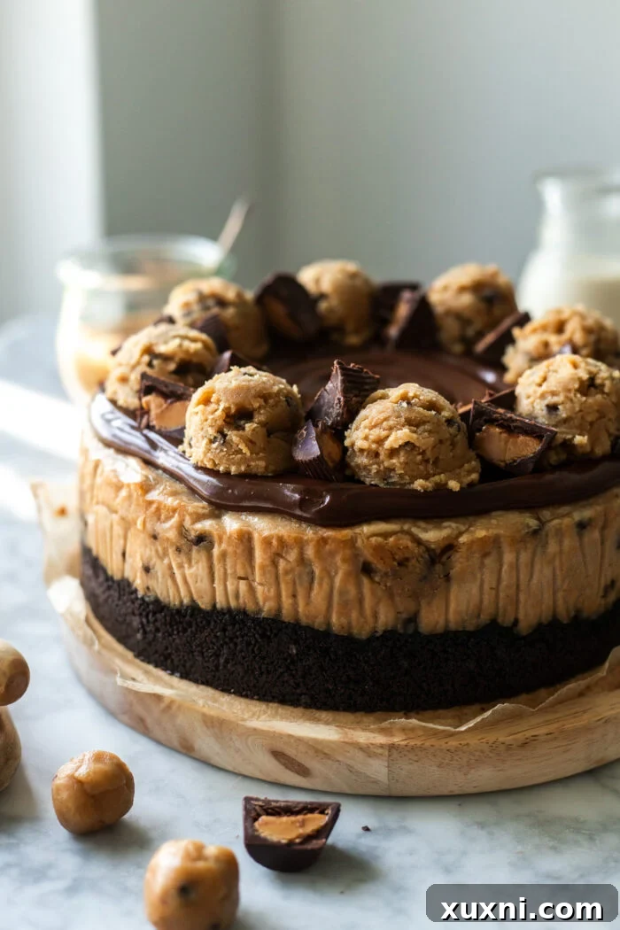 decorated vegan peanut butter cookie dough cheesecake with ganache and cookie dough balls