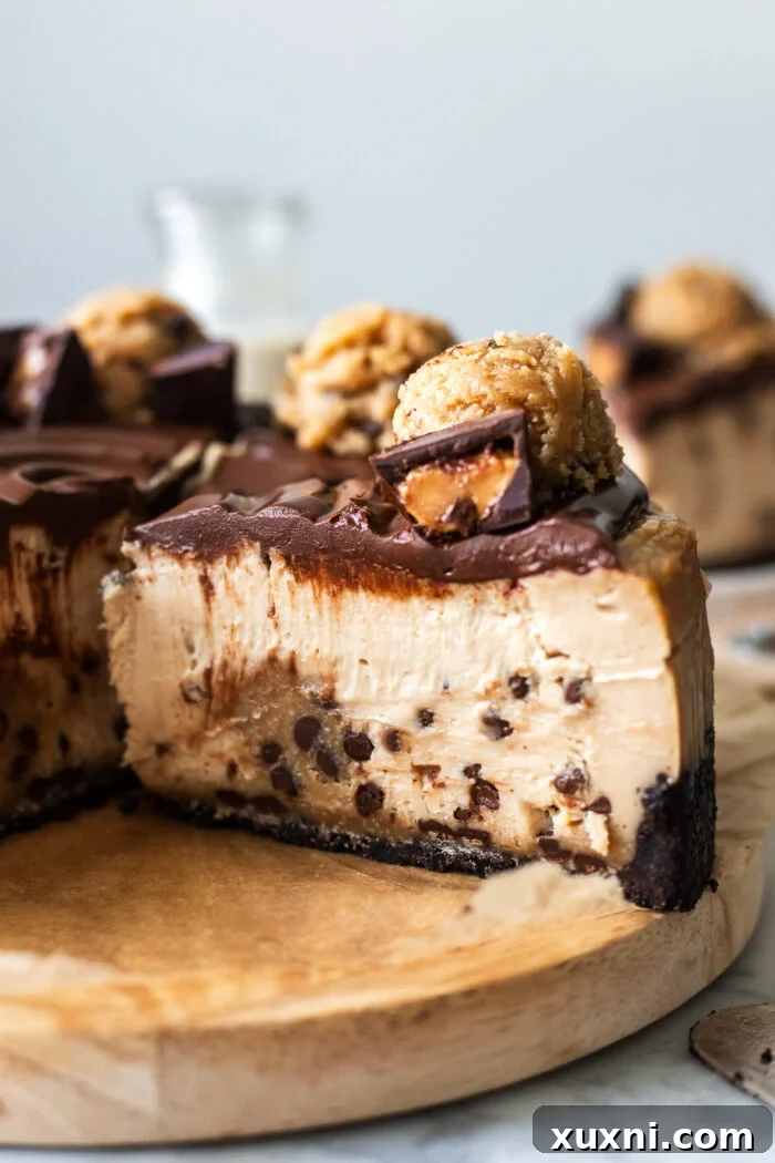 slice of vegan peanut butter cookie dough cheesecake showing layers