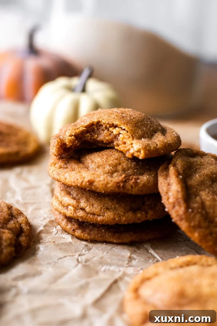 Vegan Brown Butter Pumpkin Snickerdoodle Delight 3 Perfectly stacked vegan pumpkin snickerdoodle cookies showcasing their soft texture and cinnamon sugar coating