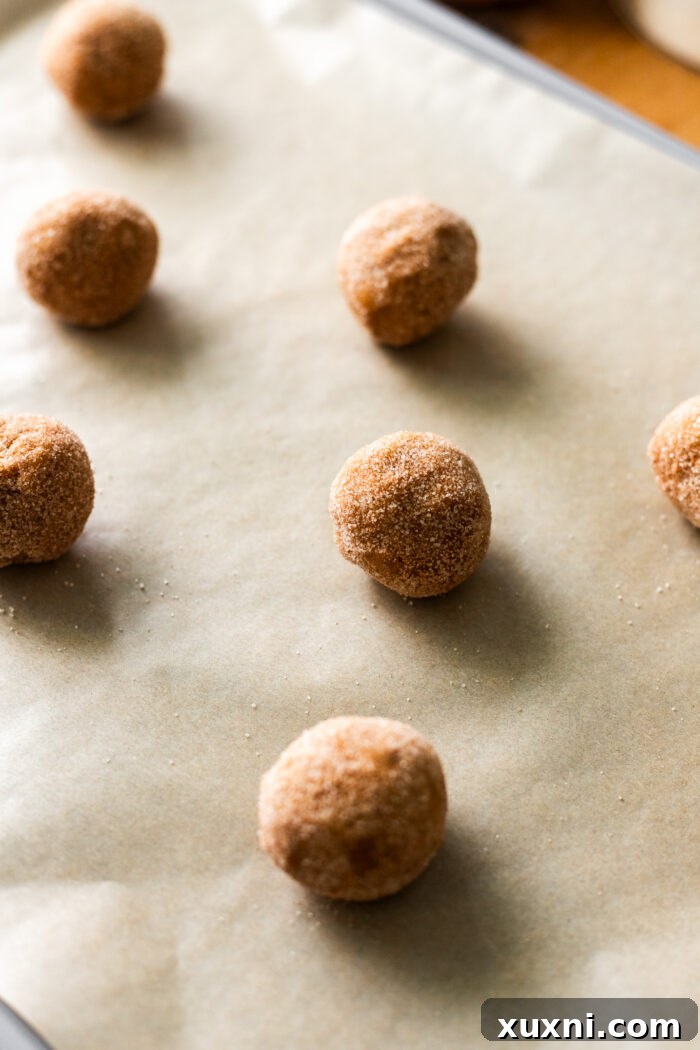 Vegan Brown Butter Pumpkin Snickerdoodle Delight 6 Unbaked snickerdoodle cookies rolled in cinnamon sugar, spaced on a baking sheet