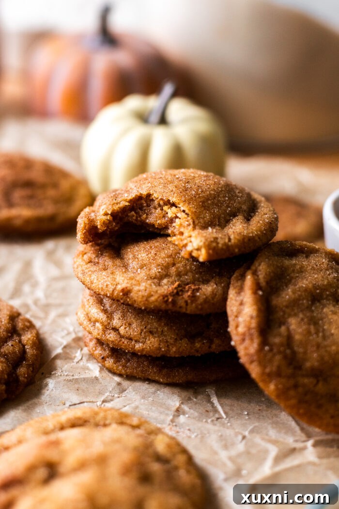 Vegan Brown Butter Pumpkin Snickerdoodle Delight 9 Stacked vegan pumpkin snickerdoodle cookies, one with a bite removed, on a rustic wooden surface