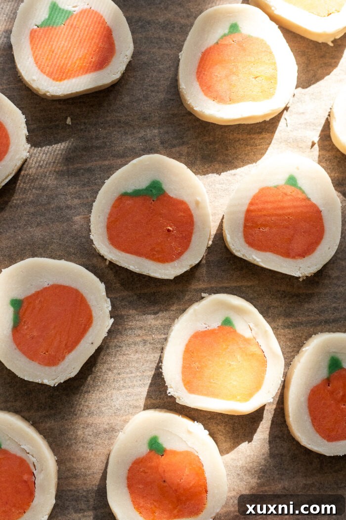 pumpkin sugar cookies before baking