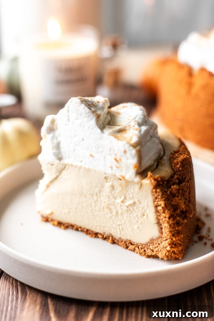 close-up of a perfectly sliced vegan cheesecake