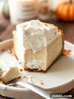 bitten slice of mascarpone cheesecake