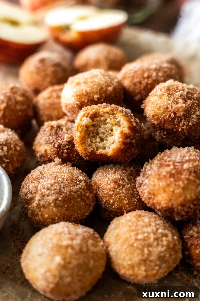A perfectly bitten vegan apple cider donut hole showcasing its moist, cakey interior and cinnamon sugar coating.