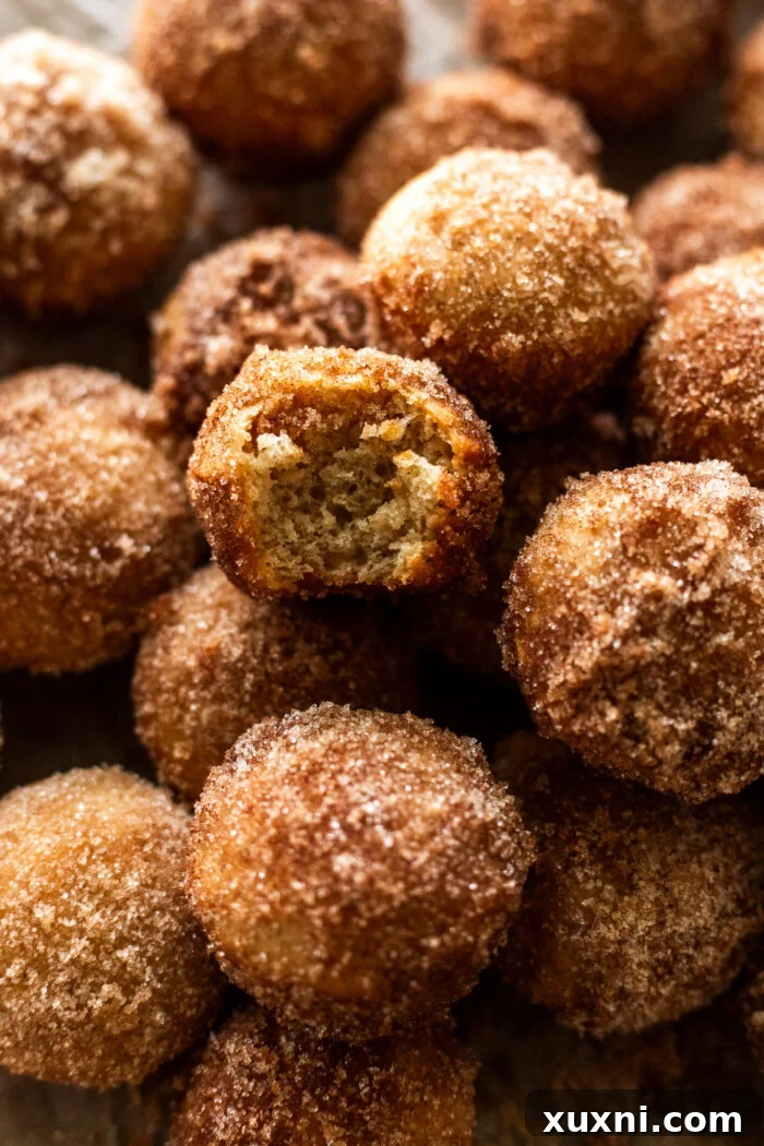 A close-up of a perfectly baked and coated vegan apple cider donut hole, showing its fluffy texture.