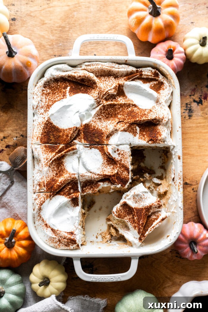A perfectly sliced piece of vegan pumpkin tiramisu, showcasing its distinct layers of espresso-soaked ladyfingers and creamy pumpkin mascarpone filling, elegantly dusted with pumpkin spice.