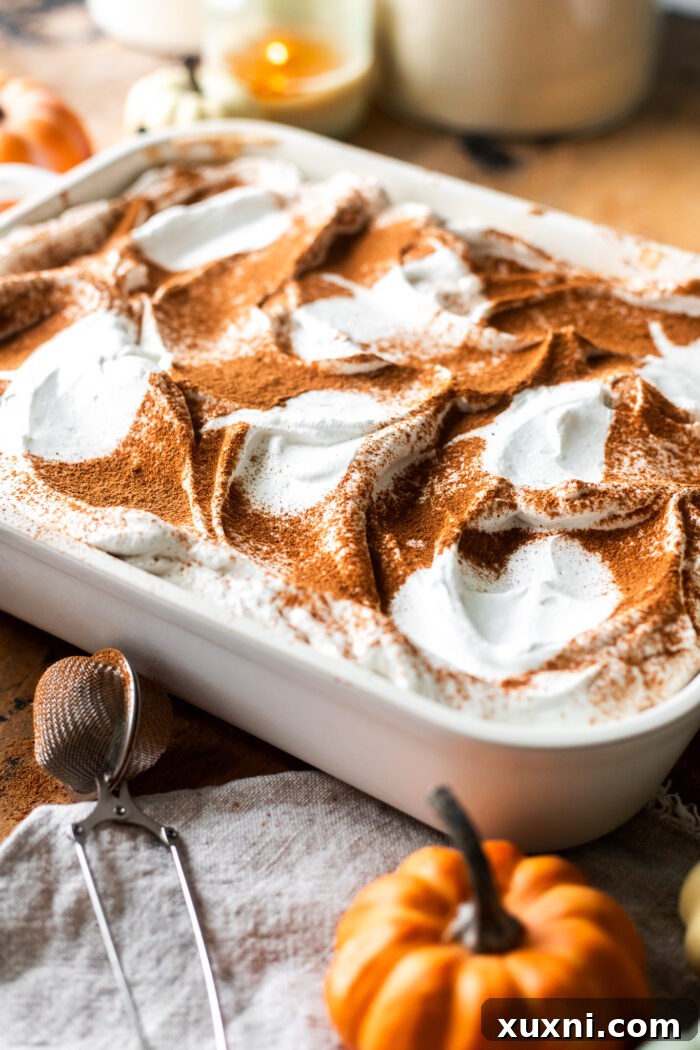 The surface of the vegan pumpkin tiramisu with multiple pumpkin shapes cut from parchment paper arranged on the whipped cream, with pumpkin spice lightly dusted over them.