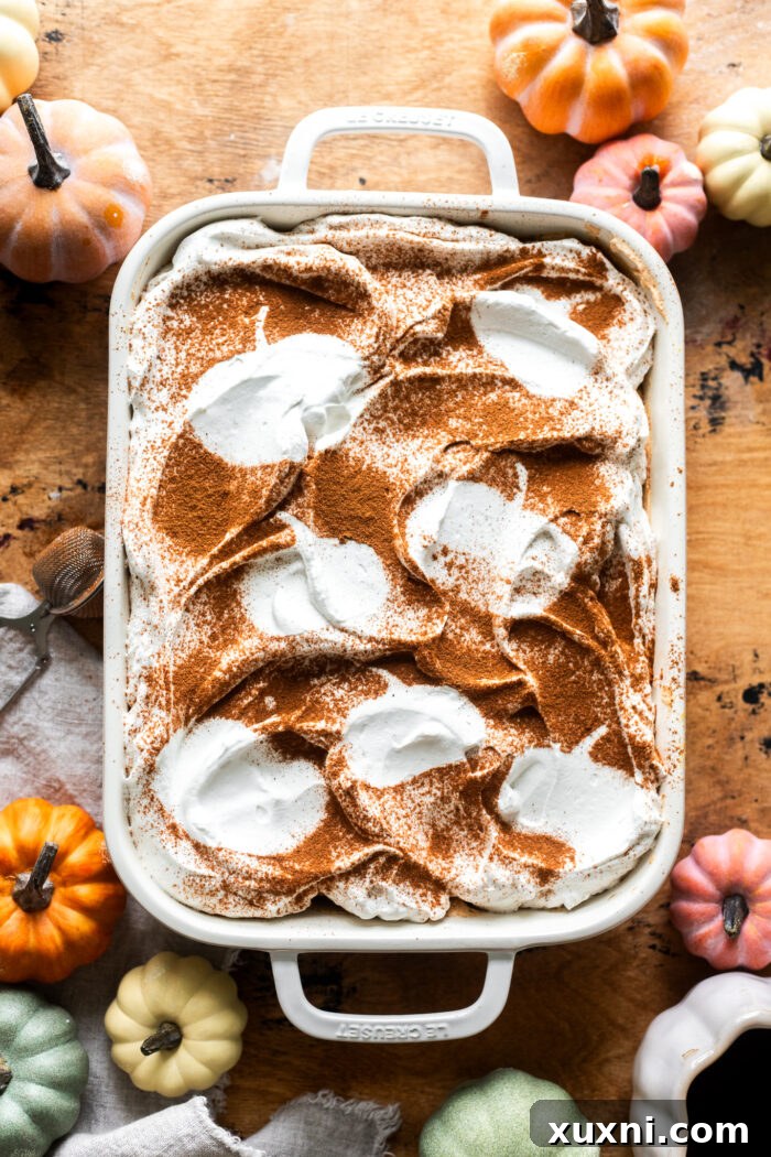 The fully decorated vegan pumpkin tiramisu with intricate pumpkin spice patterns revealed on the whipped cream, ready for slicing and serving.