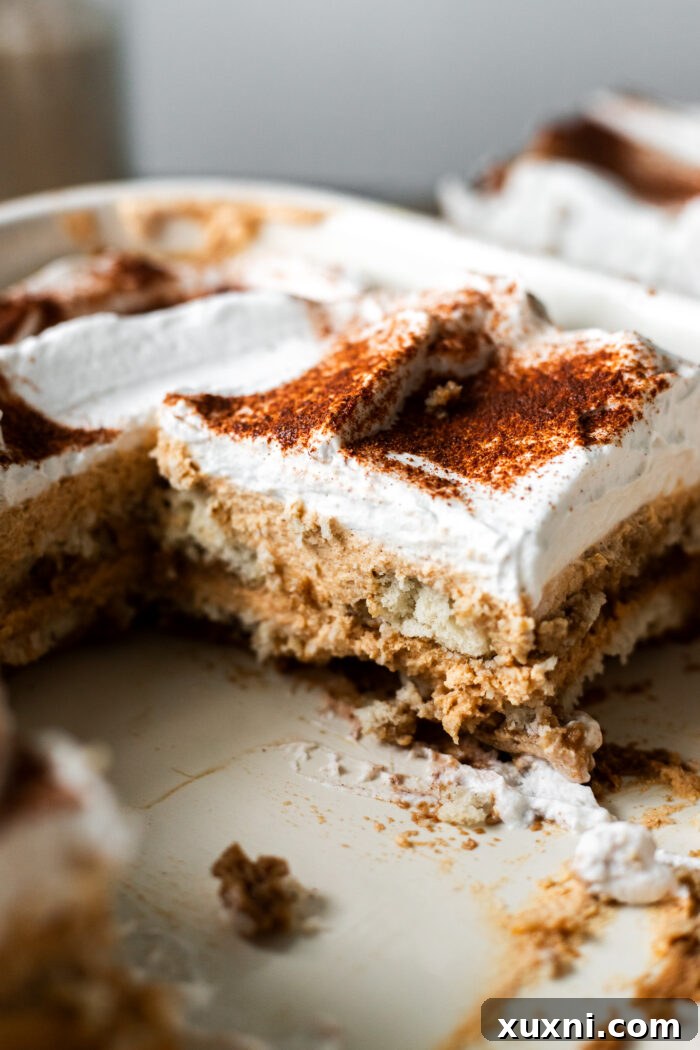 A close-up of a serving of vegan pumpkin tiramisu, revealing the smooth, creamy layers and a beautiful, decorative dusting of pumpkin spice on top.