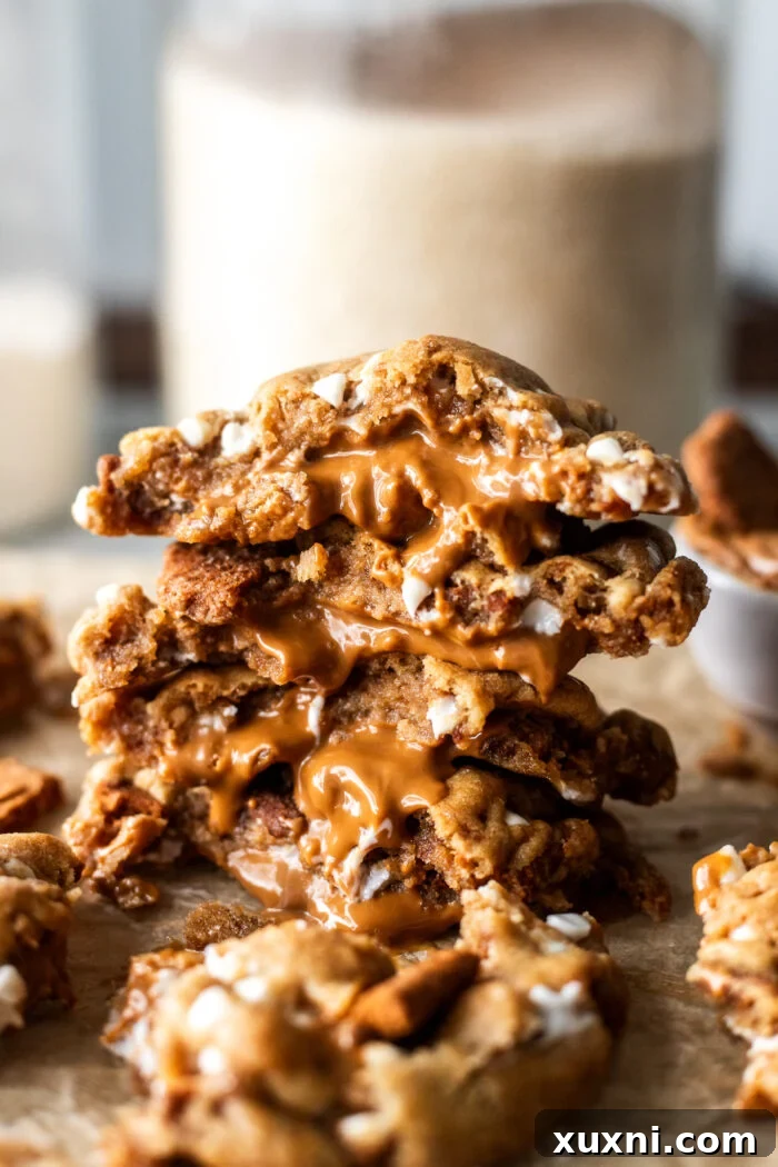 Stacked vegan cookie butter cookies, showcasing their soft texture and golden edges.