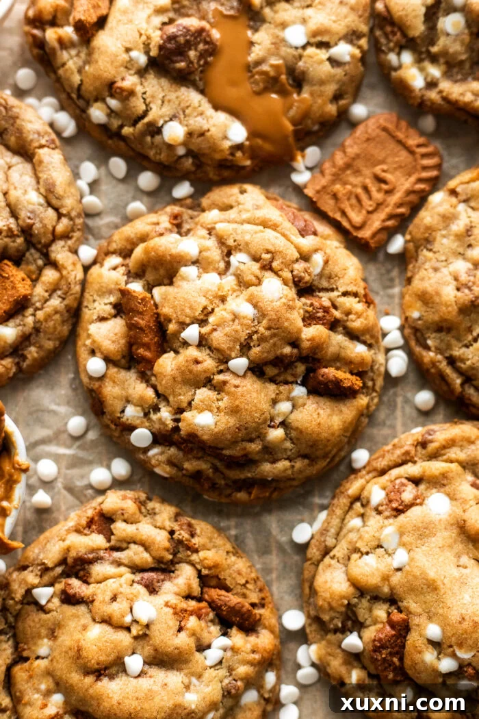 Close-up of a vegan cookie butter cookie, highlighting the melted white chocolate chips and crushed Biscoff pieces.