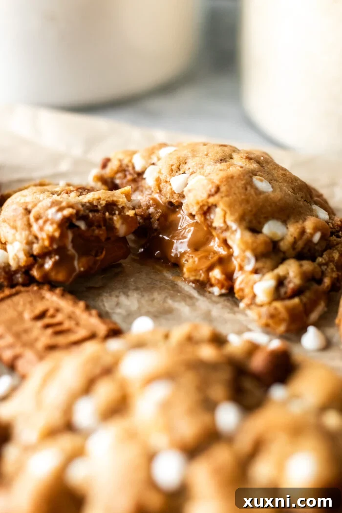 A bitten vegan cookie butter cookie, revealing the molten Biscoff center and chewy texture.