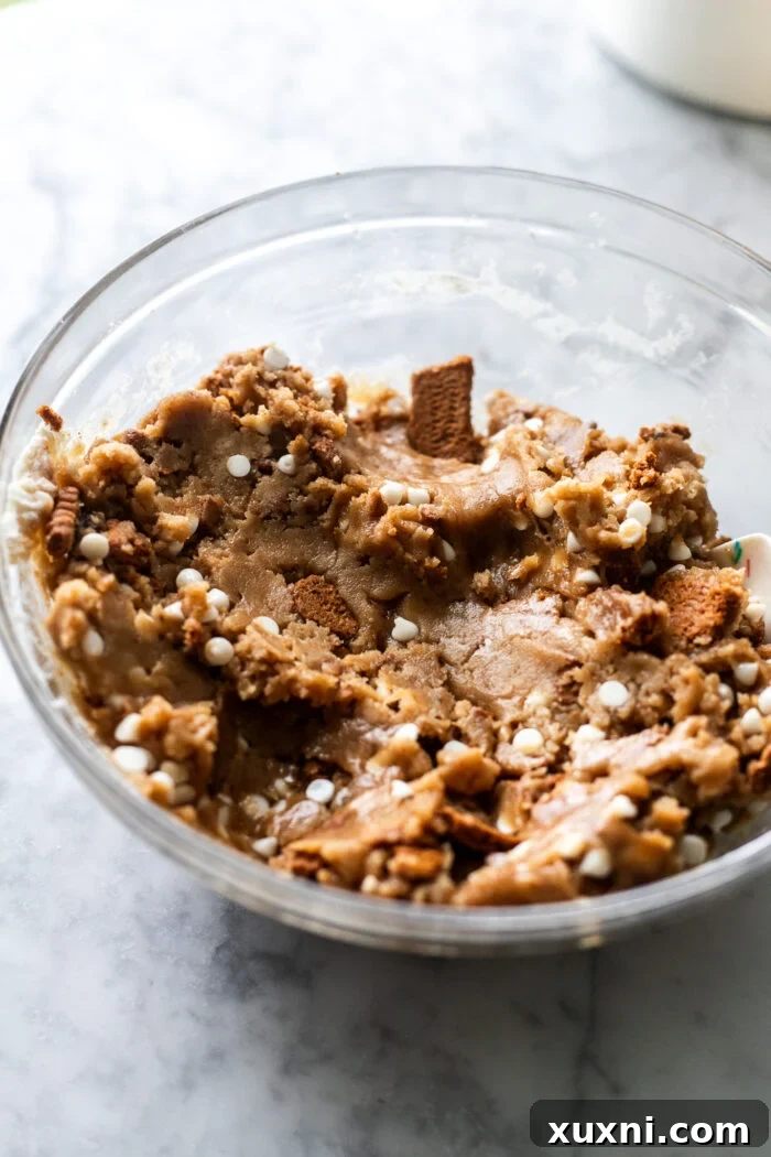 Cookie butter cookie dough in a mixing bowl, showing its soft, pliable texture.