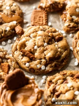 Stuffed cookie butter cookies, ready to be enjoyed.