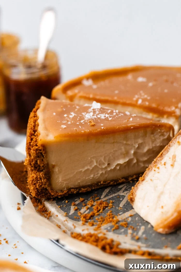 Multiple slices of vegan caramel cheesecake, artfully arranged and drizzled with caramel