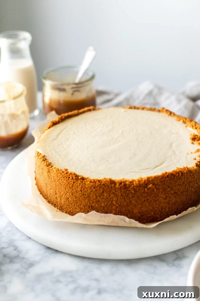 A freshly baked vegan caramel cheesecake, golden brown and perfectly set