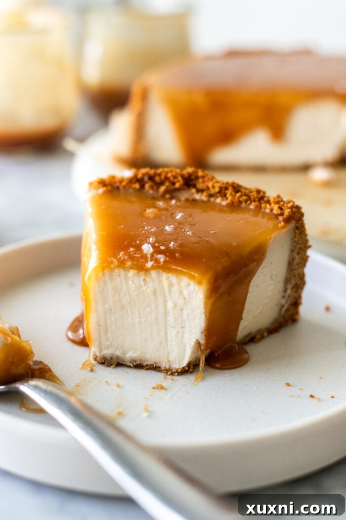 Decadent vegan salted caramel cheesecake slice with a bite taken out, perfect for holiday gatherings and plant-based indulgence.