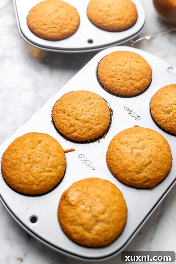 A tray of freshly baked, golden-brown vegan caramel cupcakes cooling in their liners, awaiting their delicious filling.