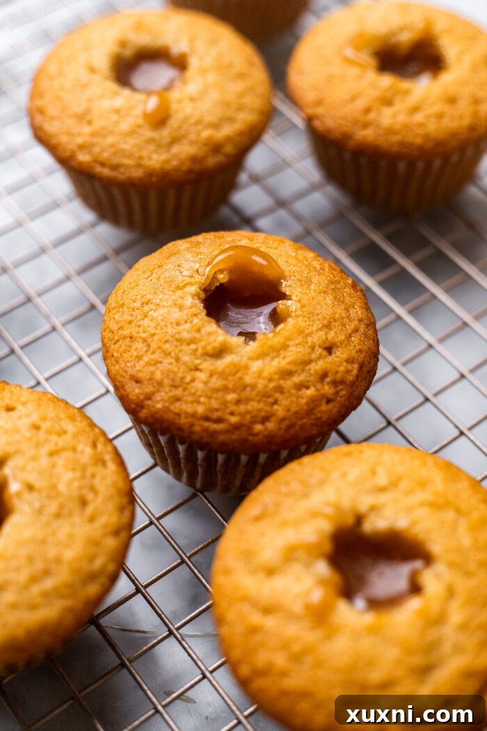 A cupcake with a hole cored out, being filled with a spoonful of rich salted vegan caramel sauce.