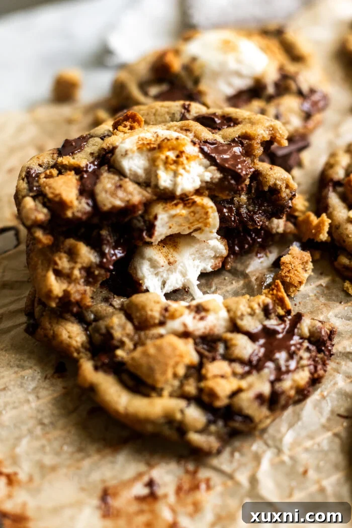 Molten s'mores cookie being pulled apart, showcasing the incredibly stretchy vegan marshmallow.
