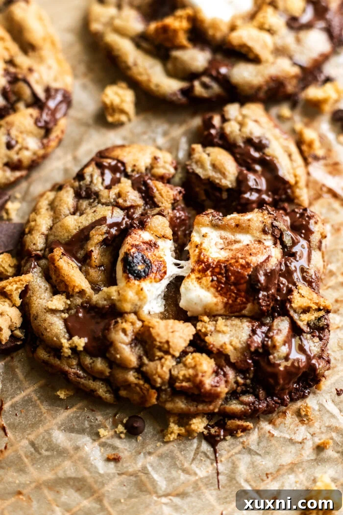 Another view of a molten s'mores cookie pulled apart, highlighting its delightful texture.