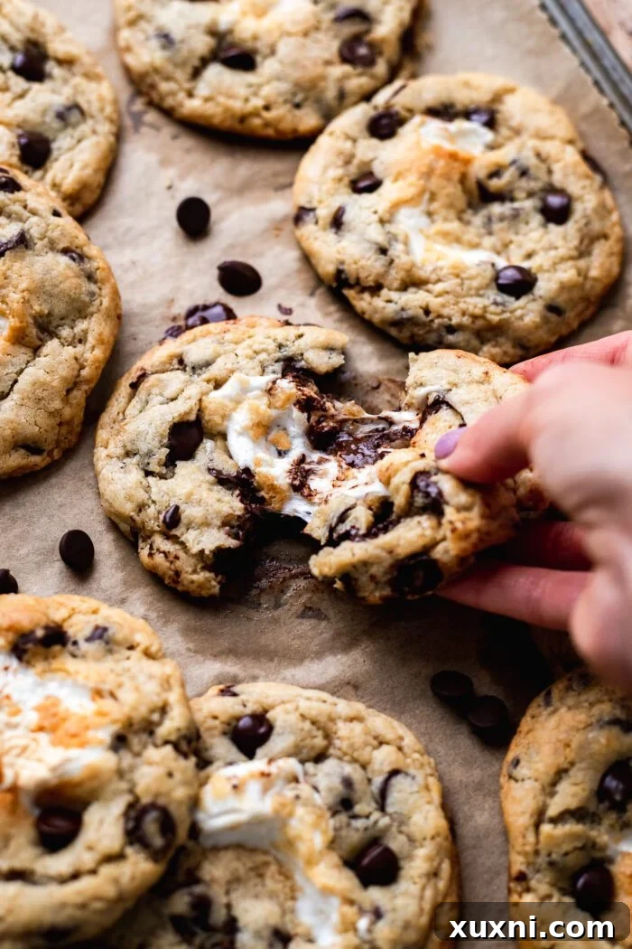 Hand pulling apart a warm, gooey marshmallow-stuffed s'mores cookie, revealing a melted interior.