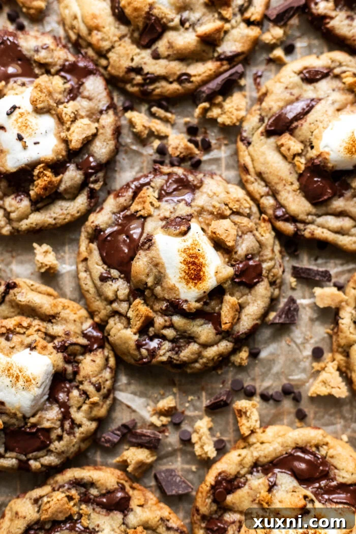 Batch of freshly baked vegan s'mores cookies cooling on parchment paper.