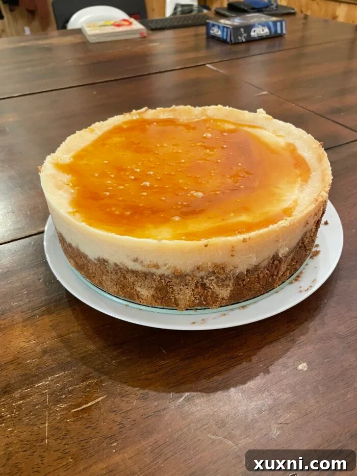 Creamy vegan caramel cheesecake slice with pecan topping, showing a rich, smooth texture on a white plate