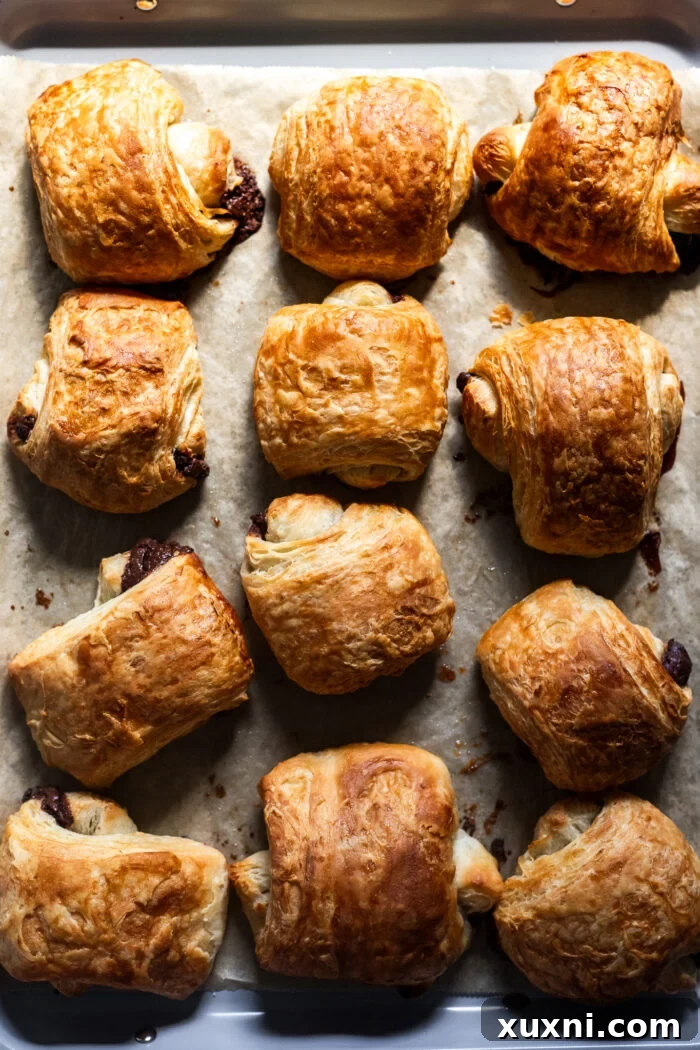 A freshly baked vegan pain au chocolat, displaying its rich golden crust and flaky layers.