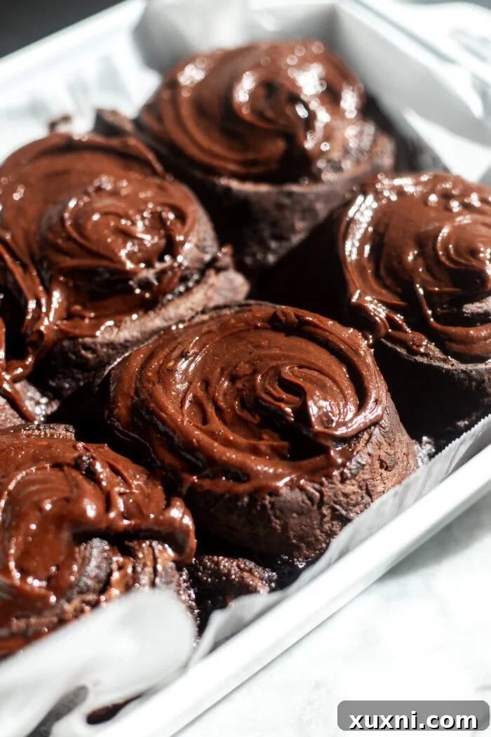 Freshly baked vegan chocolate cinnamon rolls in a baking pan, golden brown and ready for frosting.