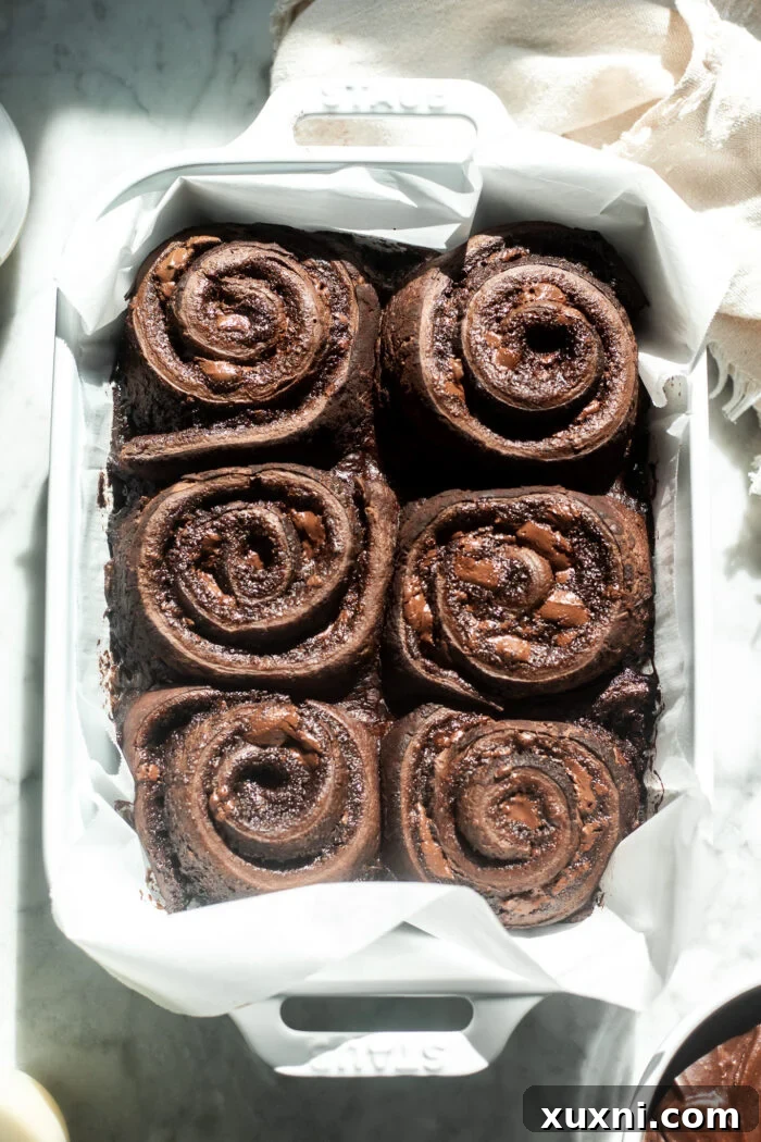 Baked vegan chocolate cinnamon rolls in a pan, still warm and ready for frosting.