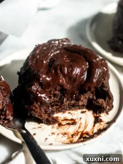 Small Batch MOLTEN Double Chocolate Cinnamon Rolls - Vegan! on a plate