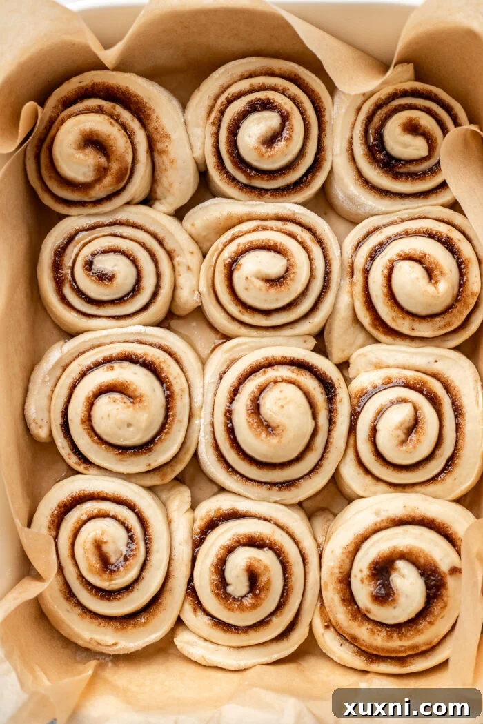 Vegan cinnamon rolls after their second rise, looking plump and ready for baking.