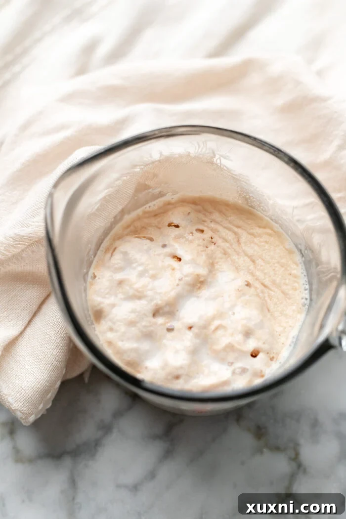 A close-up of warm milk with active yeast creating a foamy, bubbly surface.