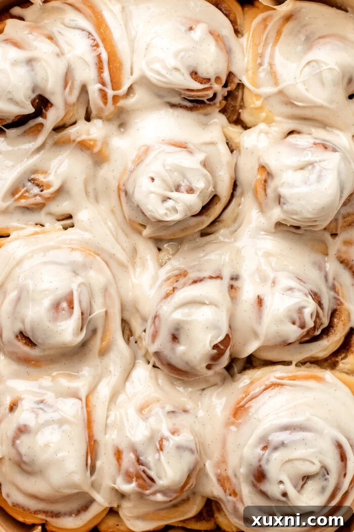 Close-up view of perfectly baked vegan cinnamon rolls with a golden crust and visible layers.