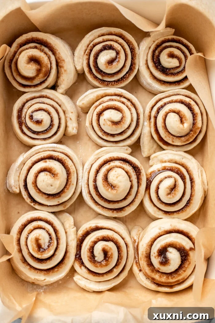 Vegan cinnamon rolls arranged in a baking dish before their final rise.